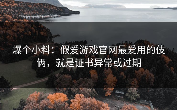爆个小料：假爱游戏官网最爱用的伎俩，就是证书异常或过期