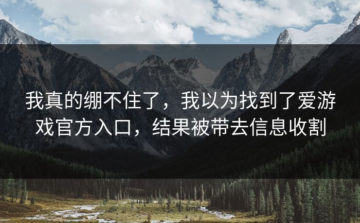 我真的绷不住了,我以为找到了爱游戏官方入口,结果被带去信息收割